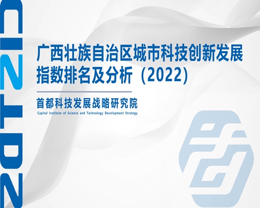 处女操逼大视频【成果发布】广西壮族自治区城市科技创新发展指数排名及分析（2022）